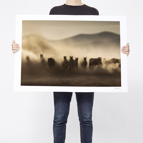 The Calm And The Controversy - Limited Edition, EXCTIO01_PR, 2017