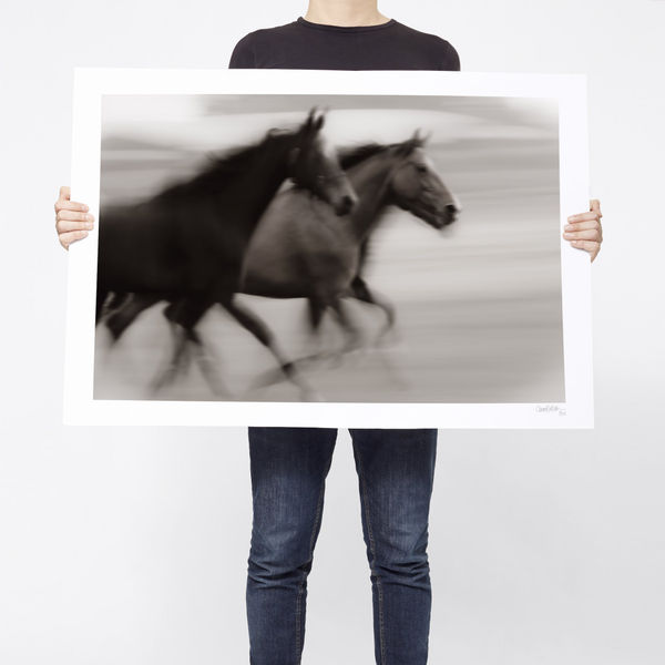 The Calm And The Controversy - Limited Edition, EXCTIO02_PR, 2017