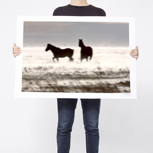 The Calm And The Controversy - Limited Edition, EXCTIO03_PR, 2017