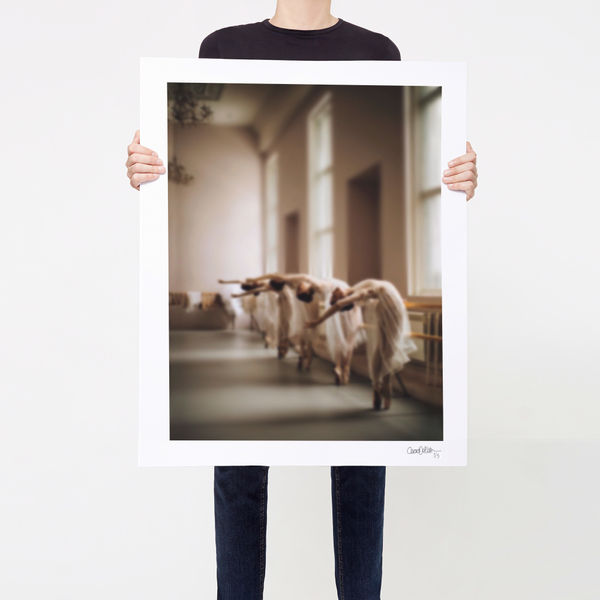 Butterflies - Limited Edition, BTTFYS03, 2023