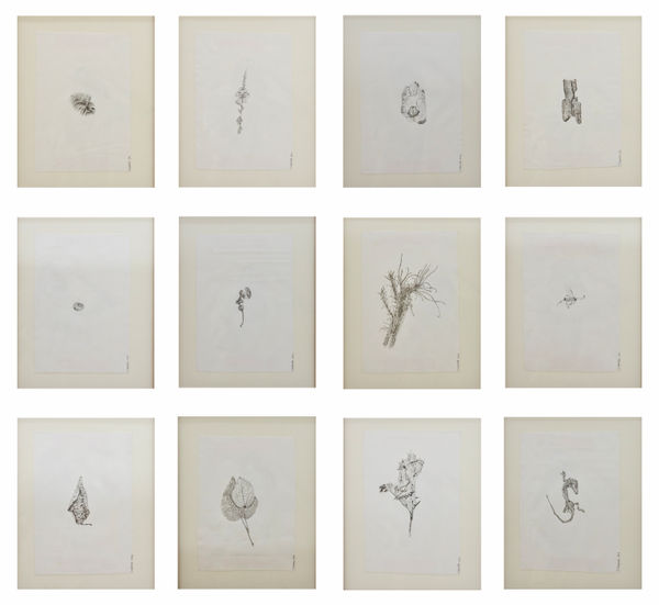 Jonathan Sölanke Gathaara Fraser, A Deluxe Space-Time Event II, 2022