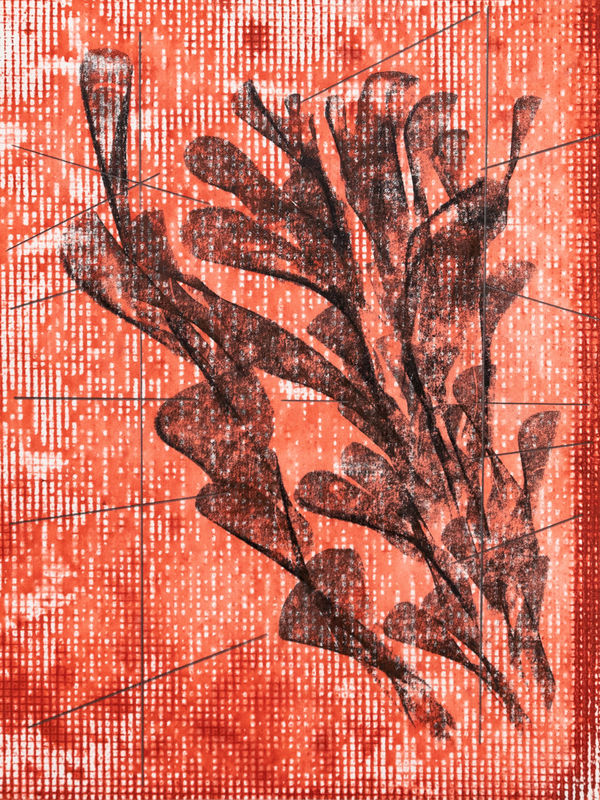 Tahir Carl Karmali, Hang me between your windows X from series 2, 2025