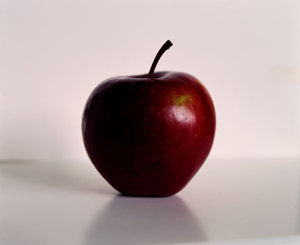 Anna Mossman, Apple Double (II), 1999/2026