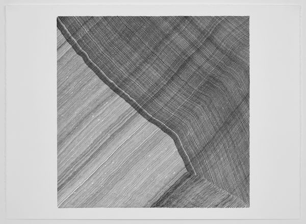 Anna Mossman, Net Drawing 5, 2022