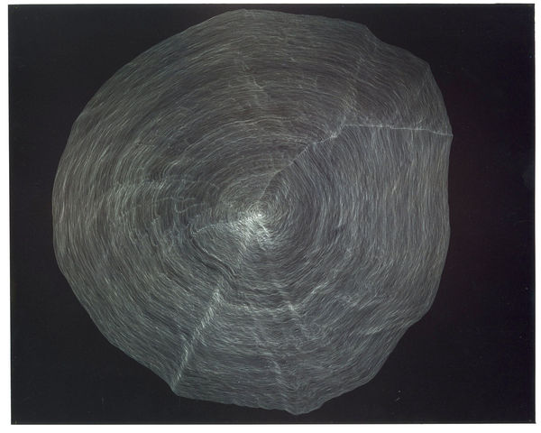 Anna Mossman, Lap (2), 2005