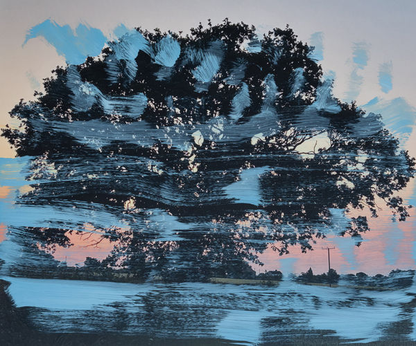 Magnus Hammick, 07:01, 2023