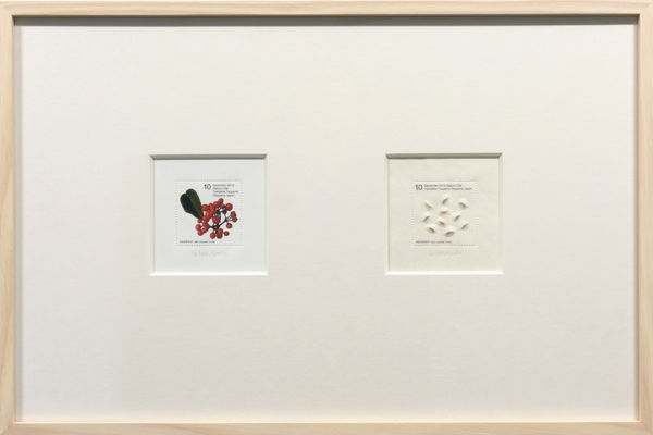 Saburo Ota, Seed Plant_llex rotunda Thunb., 2013