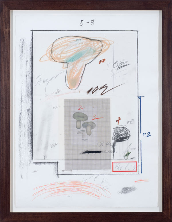 CY TWOMBLY, Mushrooms No. III, 1975 – 76