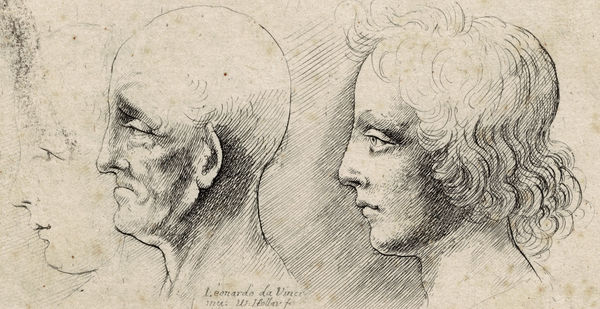 WENCESLAUS HOLLAR, after LEONARDO DA VINCI, Three heads in profile , c. 1644 – 1652