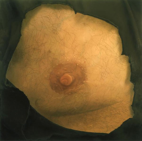 CATHERINE MURPHY, HARRY'S NIPPLE, 2003