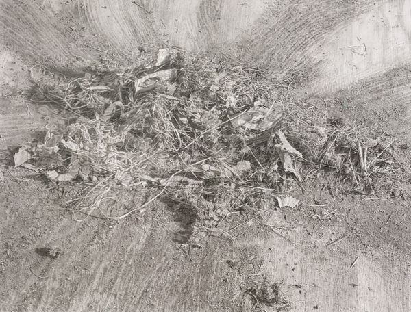 CATHERINE MURPHY, SWEPT UP, 1999