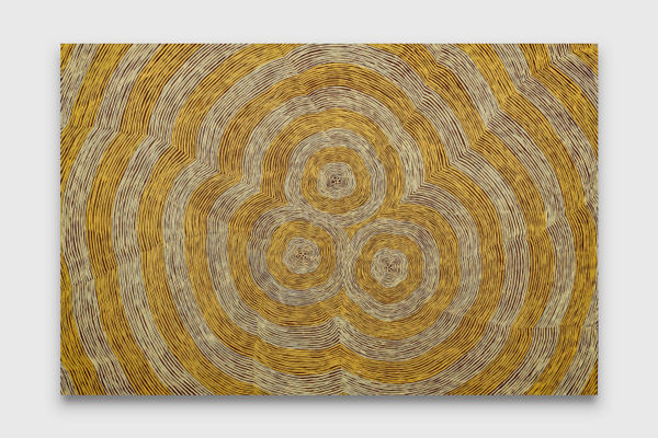 Puuni Brown Nungarrayi Kapi Tjukurrpa 14, 2024 acrylic on linen 183 x 122 cm 72 x 48 in