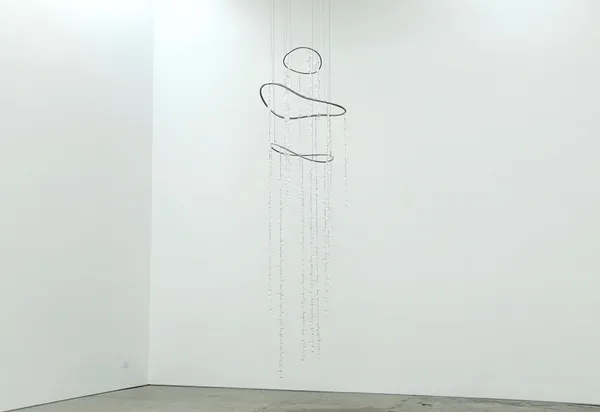 Anna May Kirk Whale Fall (II), 2025 Flameworked borosilicate glass, Pacific Ocean water, stainless steel, paint, steel wire, nickel crimps 290 x 55 x 75 cm 114 1/8 x 21 5/8 x 29 1/2 in