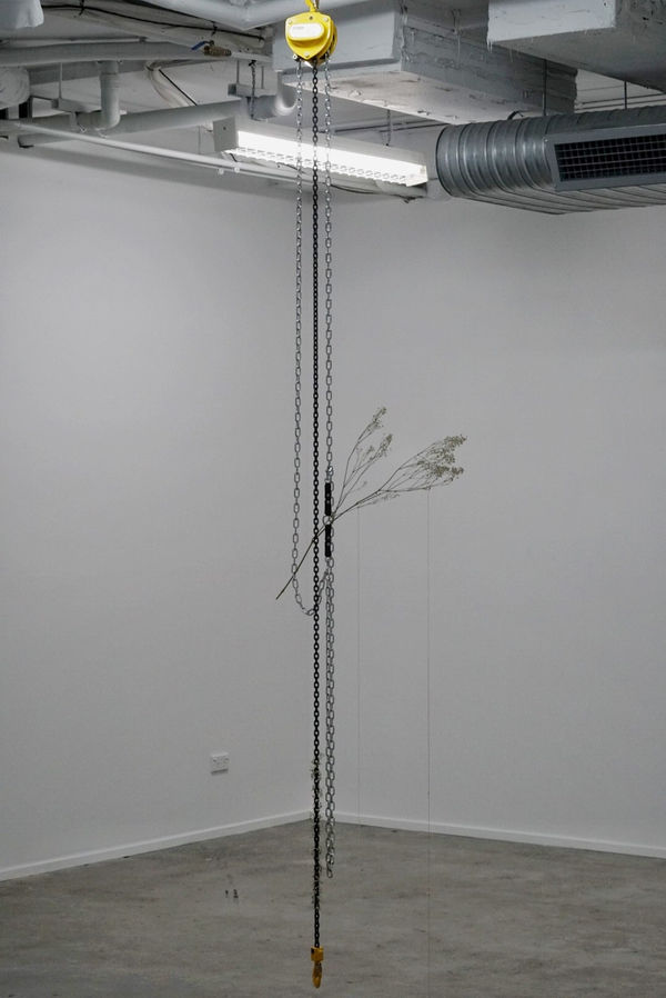 Anna McMahon Untitled #3 (from the series Holding my breath), 2018 chain block hoist, dried baby's breath, chain 30 x 30 x 300 cm