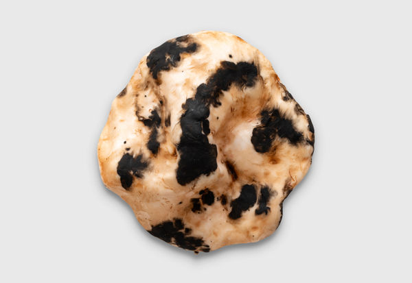 Nick Modrzewski Dog, 2026 moldable plastic, acrylic paint 20 x 20.5 x 6.5 cm 7 3/4 x 8 x 2 5/8 in