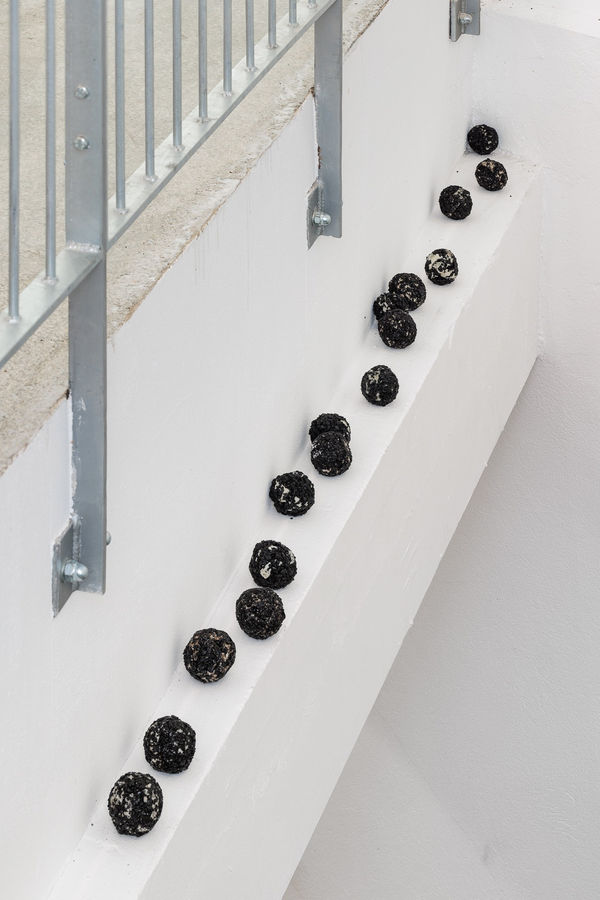 Jonida Laçi, For Forty Elephants, 2024