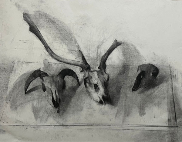 Jason Line, Animal Skulls