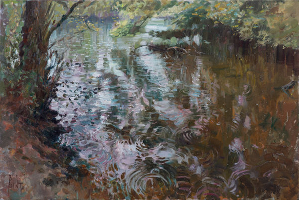 Rob Pointon ROI, Raindrops on the Pond, 04/2020