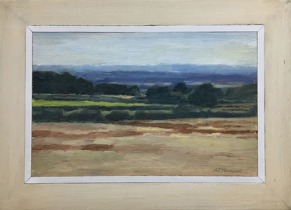 Alan James Thompson, Cheshire Plain