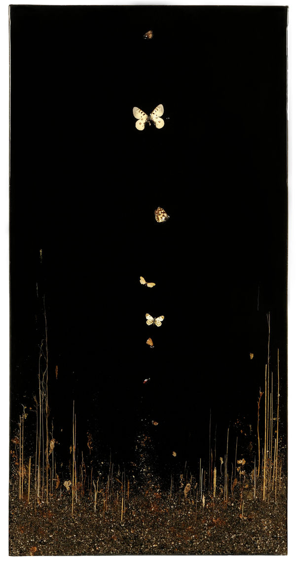 Enzo Fiore Elevazione Notturna, 2017