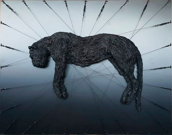 Enzo Fiore Jail, 2021