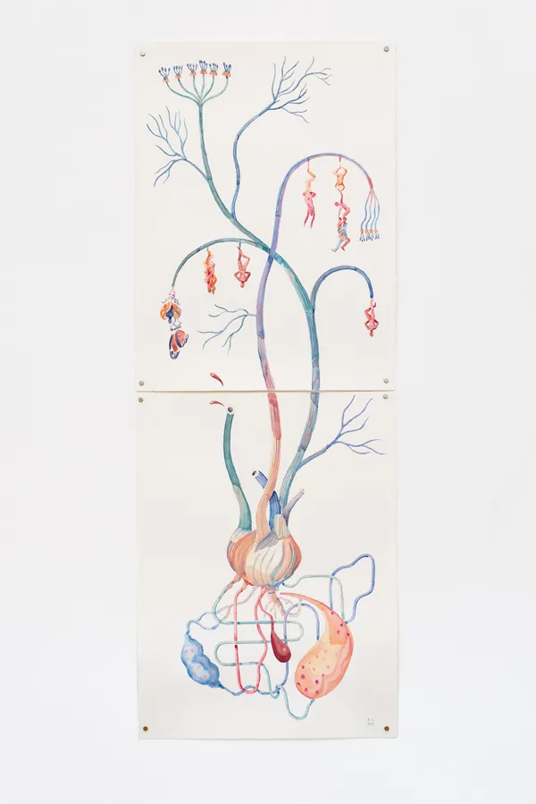 Blanca Gracia, Campo de’ fiori , 2025