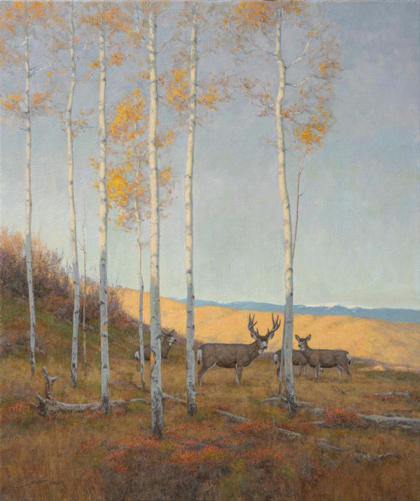 Scott Yeager, Deer Haven