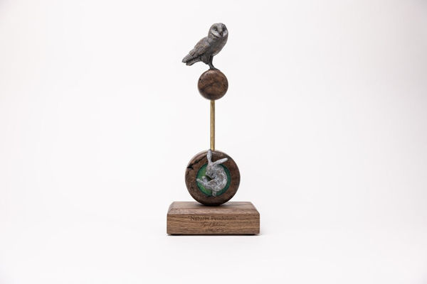 Tyrel Johnson, Natures Pendulum