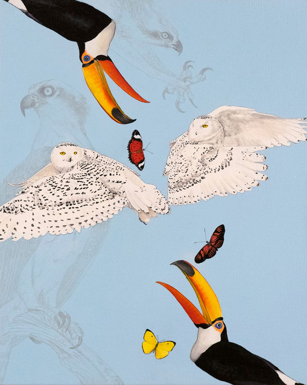 Heimir Björgúlfsson - Cause and Effect