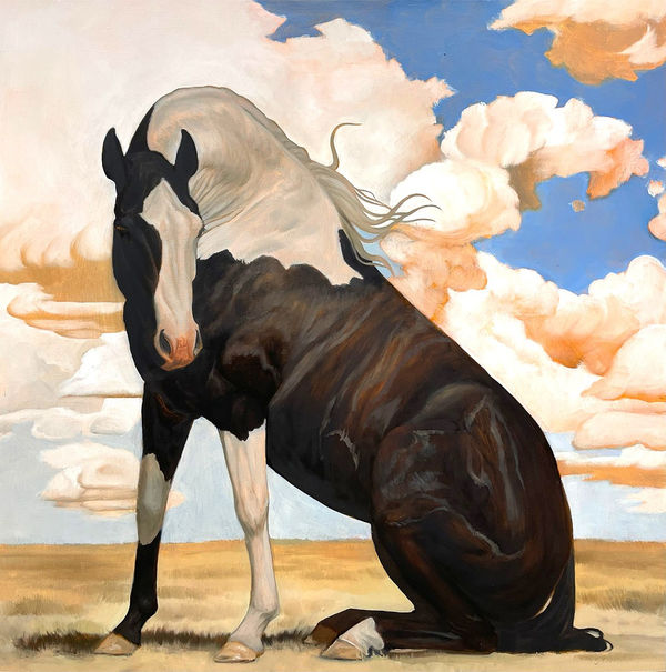 Kym Day, Pinto Sitting Proper