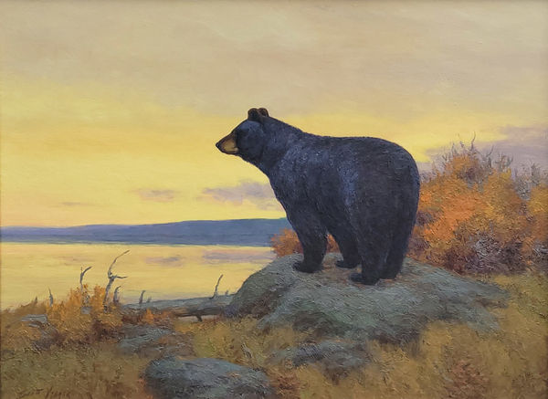 Scott Yeager - When Bears Come Out to Play
