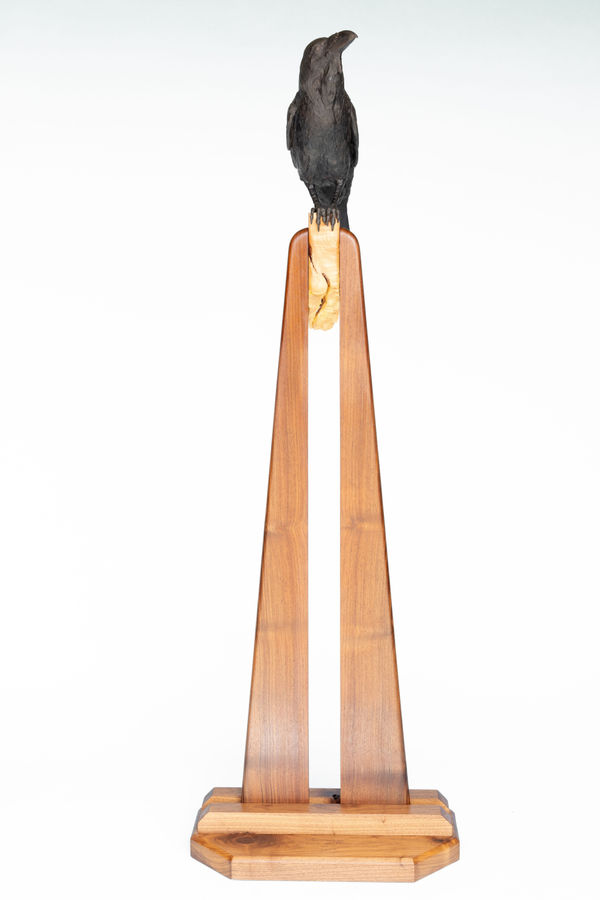 Tyrel Johnson, After the Fire