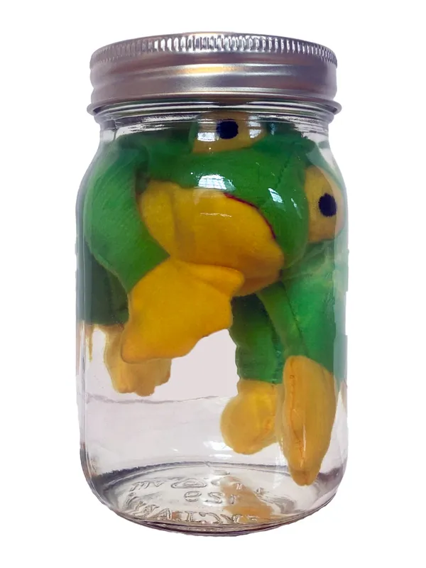 IAIN BAXTER&, Animal Preserve 3, 1999