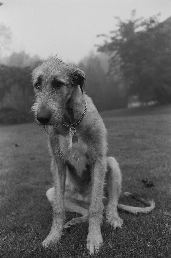 Burt Covit, Stay ed.1/10, 2000