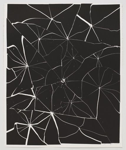 Tara Donovan - Broken Mirror, 2009