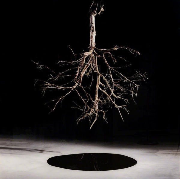 Tal Shochat - Untitled, flying ceiling series, 2007