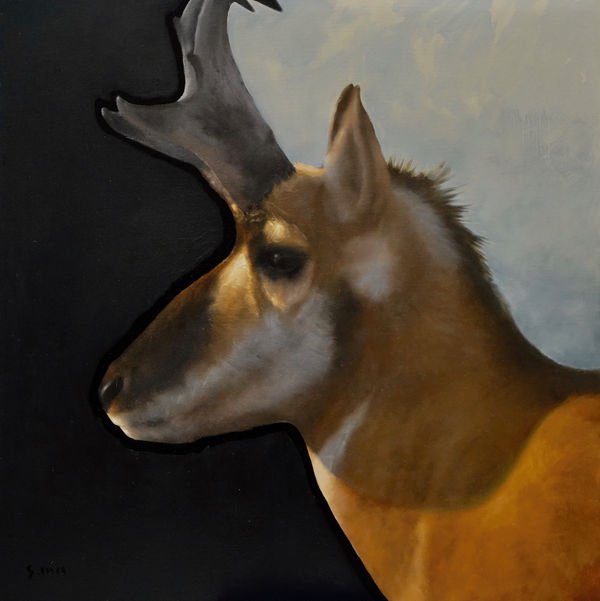 George Hill, Symbiosis