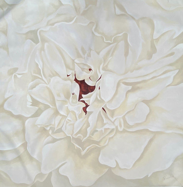 David Chuquimarca , Light Reflections