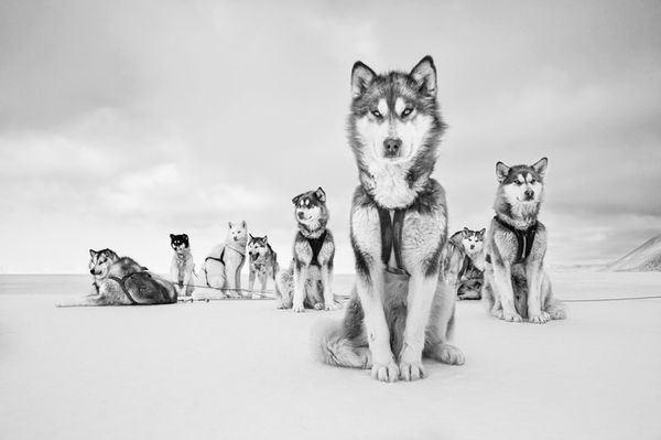 Cristina Mittermeier, Big Shot , 2015