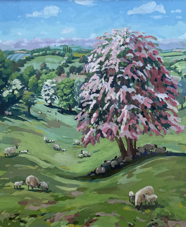 Annabel Playfair - The Hawthorn Tree (Hungerford Gallery)