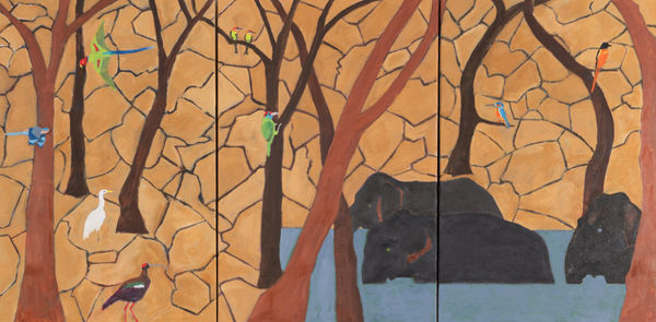 Dione Verulam, Jungle, India