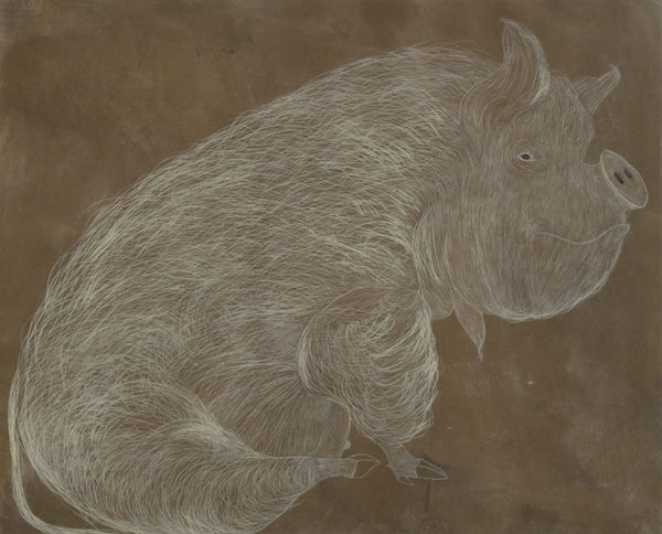 Kate Boxer, Belinda Boxer