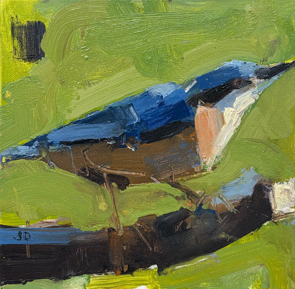 John Dobbs, Nuthatch (Hungerford Gallery)