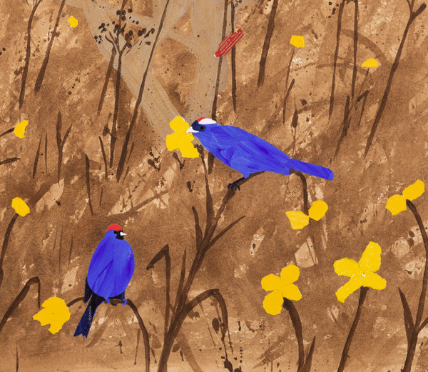 Dione Verulam, Primary Colours (Diadem Tanagers)