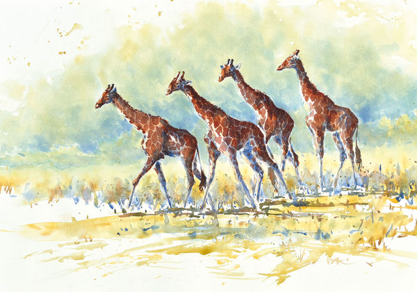 Julia Cassels, Walking Tall