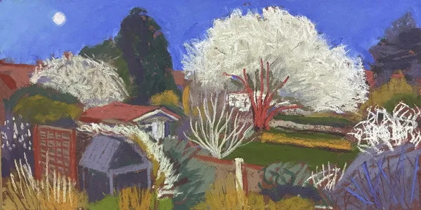 Sue Campion, The Plum Blossom