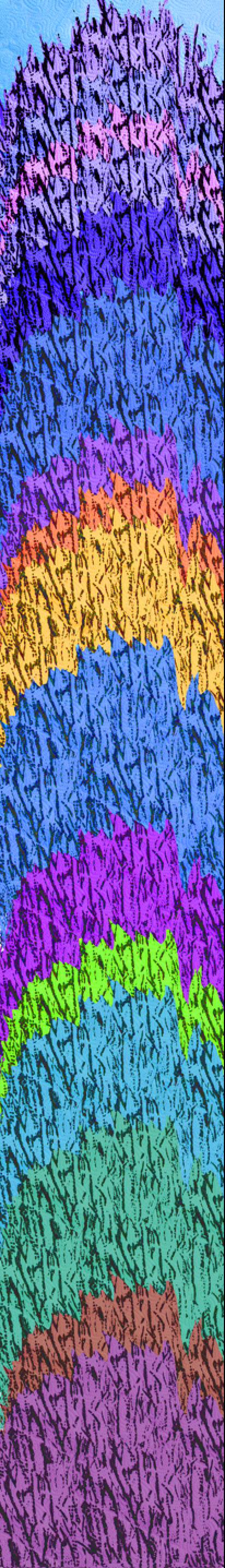 Kaethe Kauffman Purple Shower Tree , 2024 Ink on Silk 70”x10”