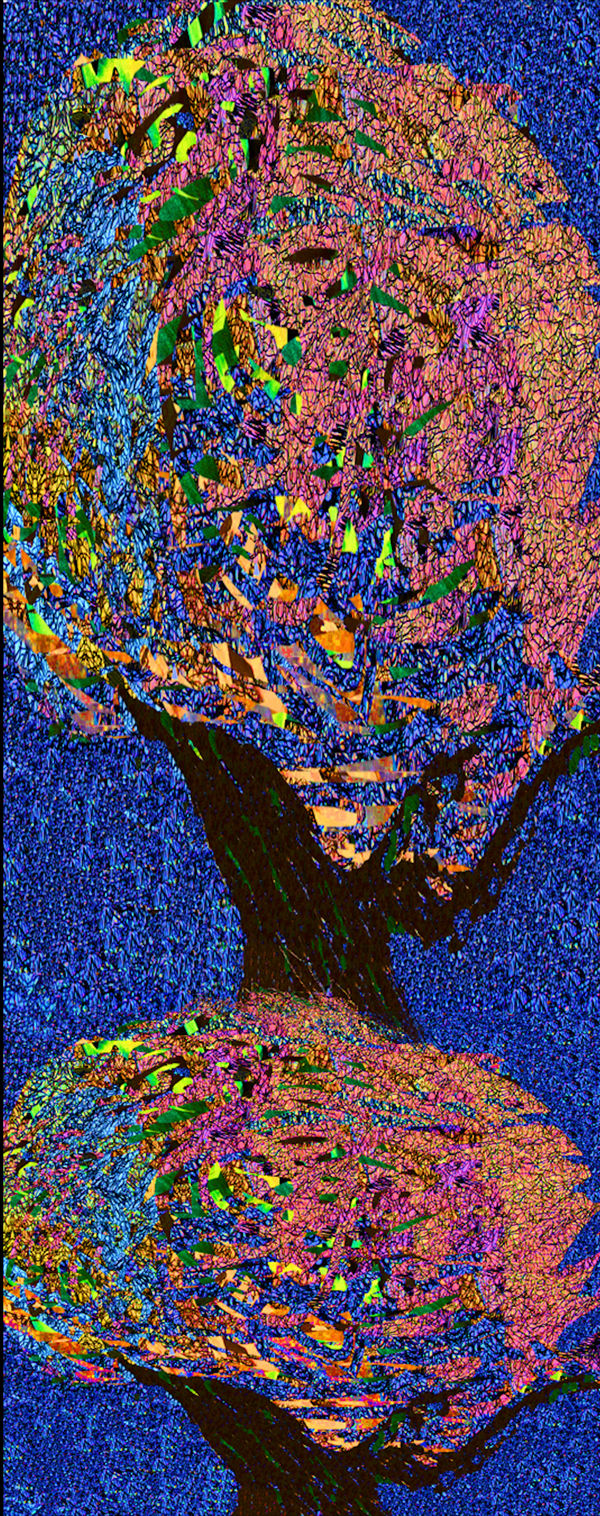 Kaethe Kauffman Blowing 2 Trees , 2024 Ink on Silk 71”x26”