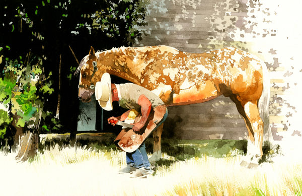 Don Weller, Under the Cottonwood