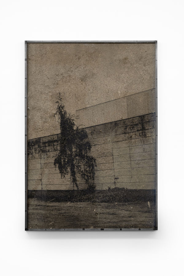 Lucas Leffler, Mudprint 16, 2018-22